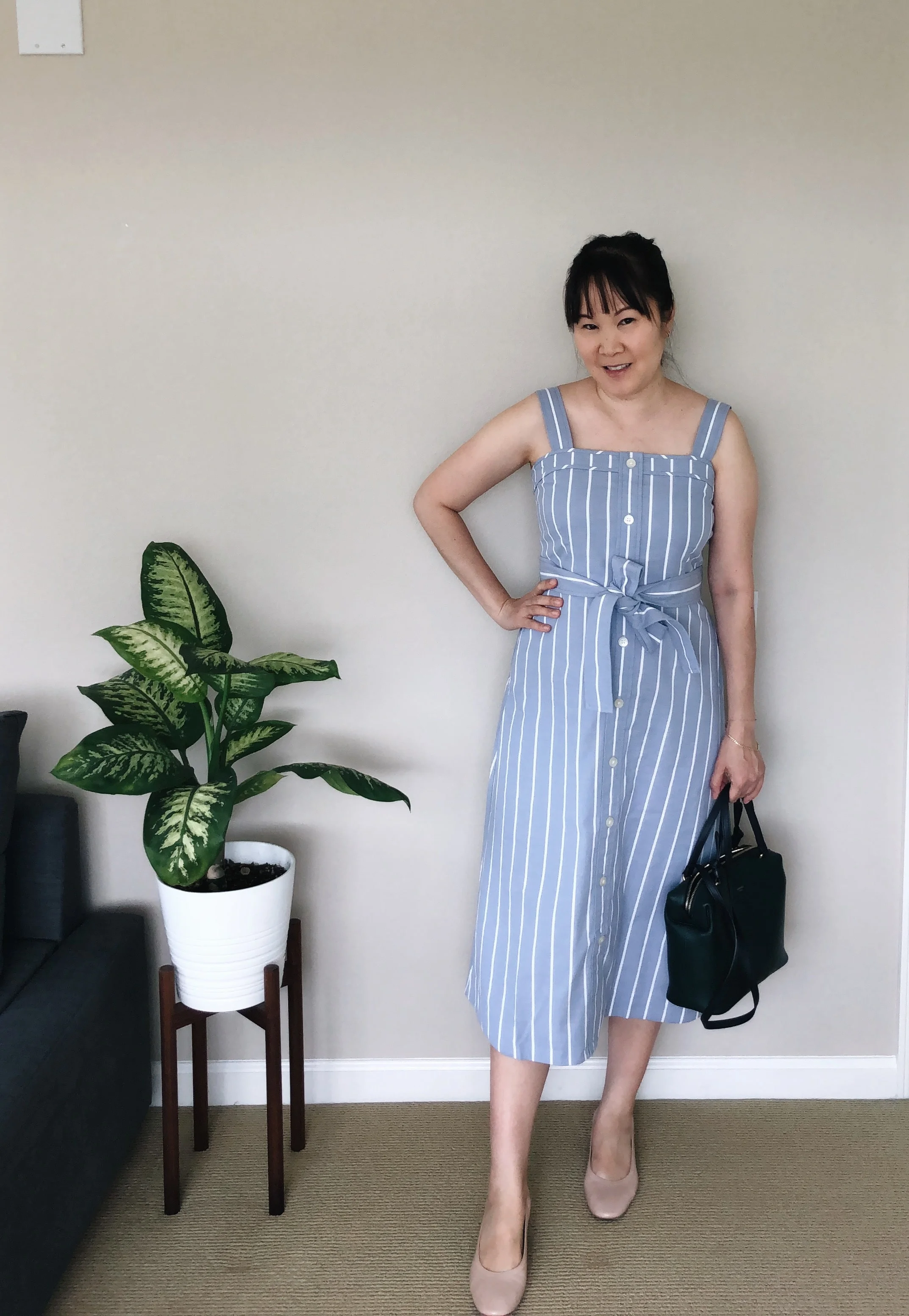 Everlane picnic dress clearance review
